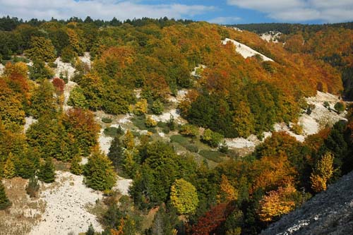 Herbstfarben am Mt. Ventoux