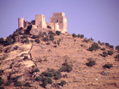Burg in Burguillos del Cerro