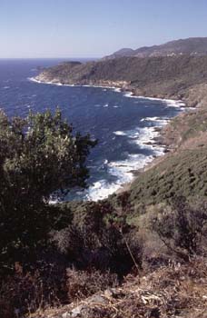 Rauhe Westküste des Cap Corse