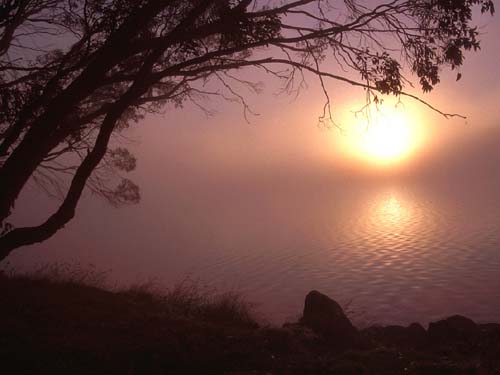 Die Sonne k�mpft sich durch den dichten Morgennebel am Three Mile Dam