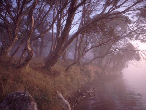 Der Nebel lichtet sich am Three Mile Dam
