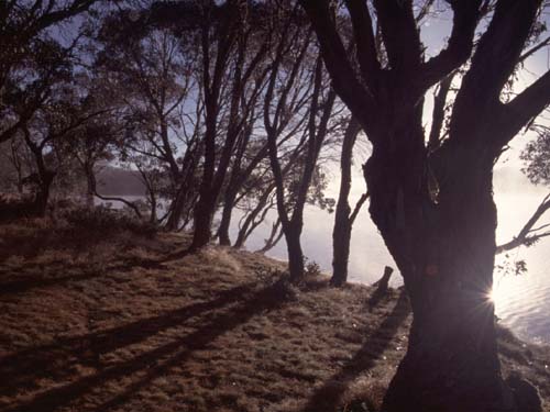Die Sonne hat den Kampf gegen den Nebel gewonnen