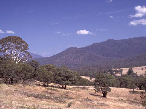 Farmland bei Tom Groggin