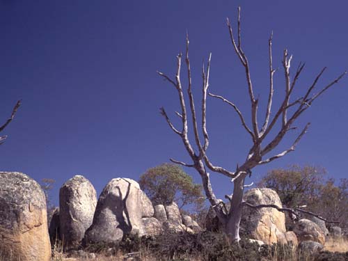 Bizarre Felsszene bei Berridale