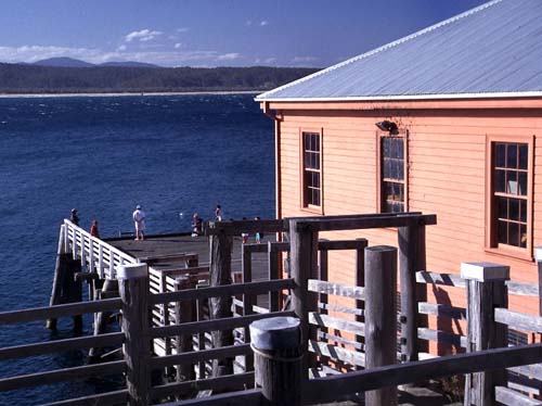 Der alte Anleger in Tathra