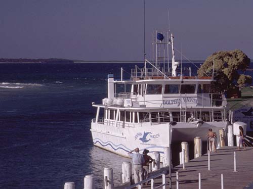 Dolphin Watch Cruises in die Jervis Bay