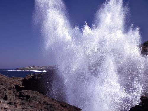 Das Blowhole in Kiama in Aktion