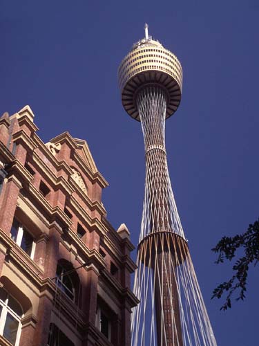 Der Fernsehturm in Sydney