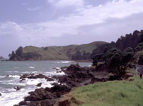 Spannende Kstenstrasse auf der Coromandel-Halbinsel