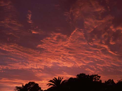 Morgenrot - Gibt's wohl bald Regen?