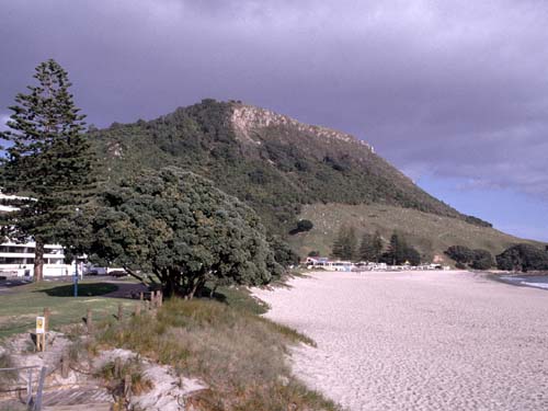 Der alte Vulkan Mt. Maunganui bei Tauranga