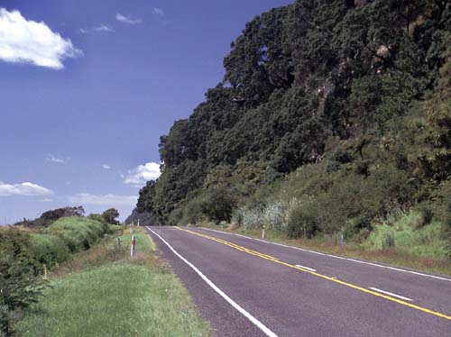 Schne Kstenstrasse nach Matata