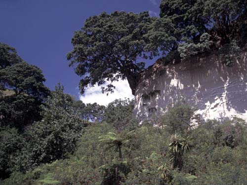 Steilabbruch bei Matata