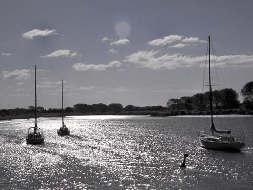 Abendstimmung am Whakatane-River