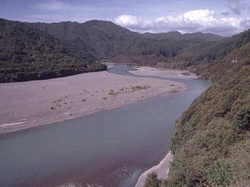 Der Motu River fliet unreguliert bis ins Meer