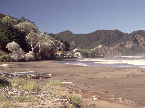Tokomaru Bay