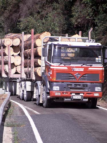 Mit den Log-Trucks wird's gelegentlich eng auf der Piste