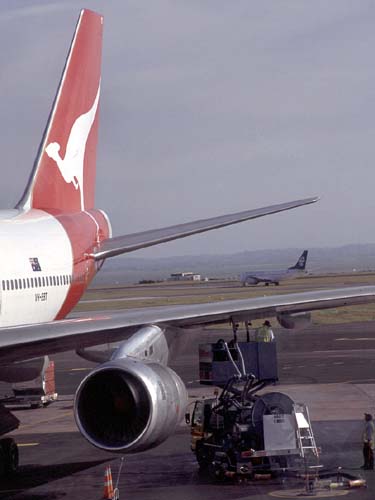 Mit dem groen Knguruh geht's rber nach Sydney...