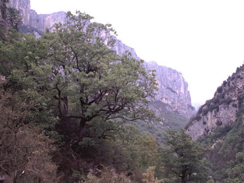 In der Verdonschlucht